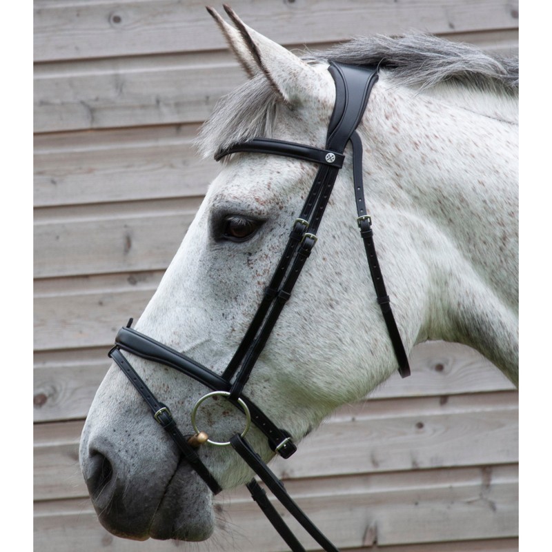 Henry James Flash Bridle - Black-2